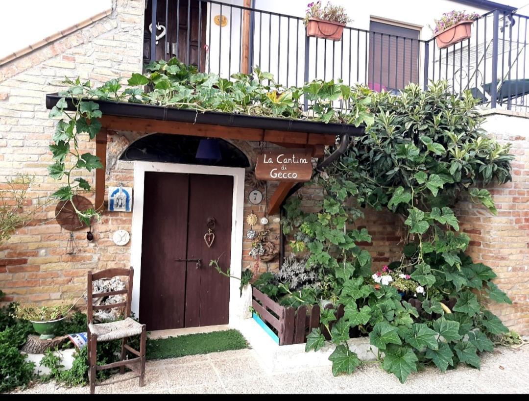 B&B La Casa In Campagna Collecorvino Extérieur photo