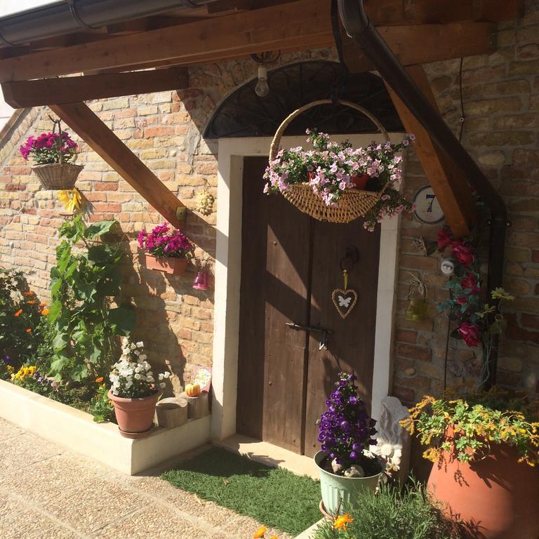 B&B La Casa In Campagna Collecorvino Extérieur photo