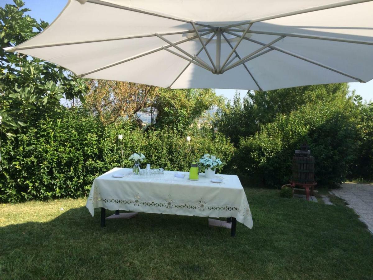 B&B La Casa In Campagna Collecorvino Extérieur photo